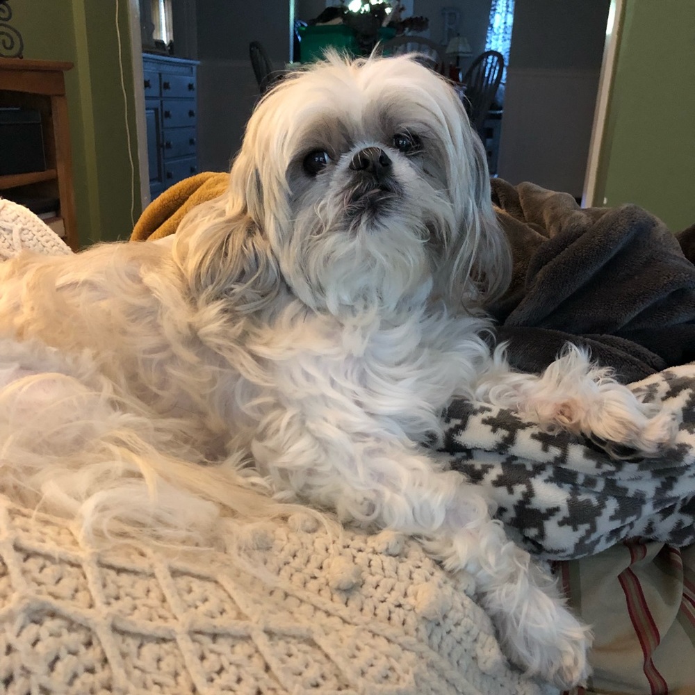 Meet your Posher, Renee